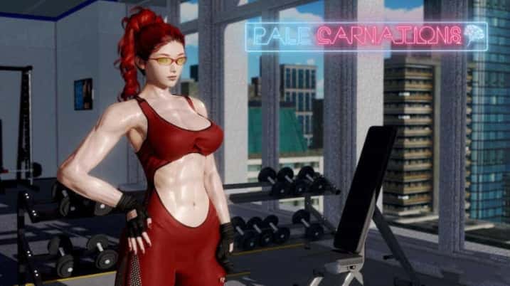 康乃馨俱乐部封面